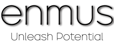 エンムス合同会社